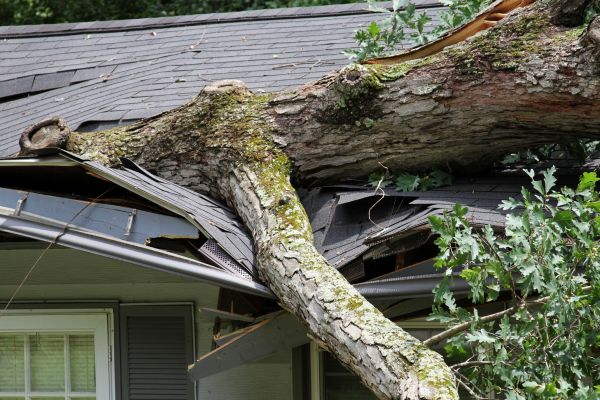 Storm Remediation in Valrico