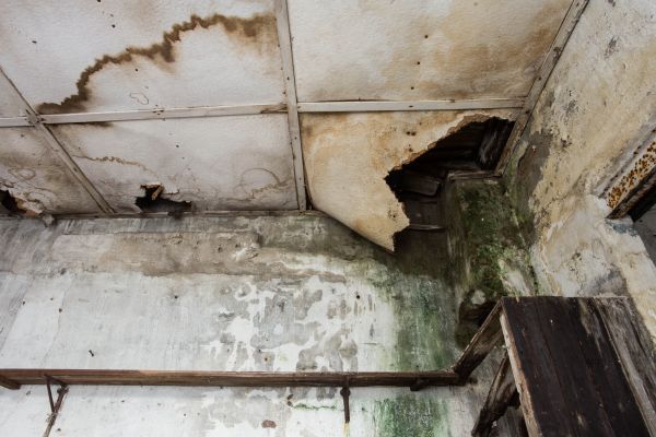 Water Damage Service in Valrico
