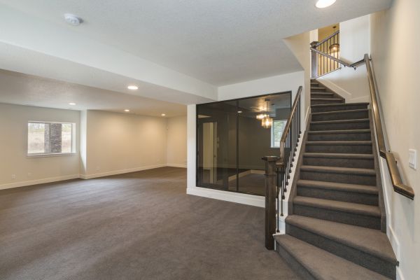 Basement Restoration Service in Valrico