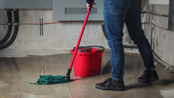 Flooded Basement Cleanup in Valrico
