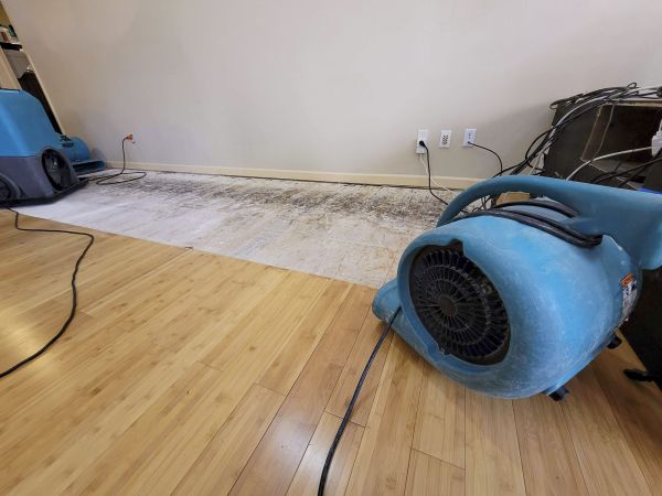 Water Damage Mitigation in Valrico