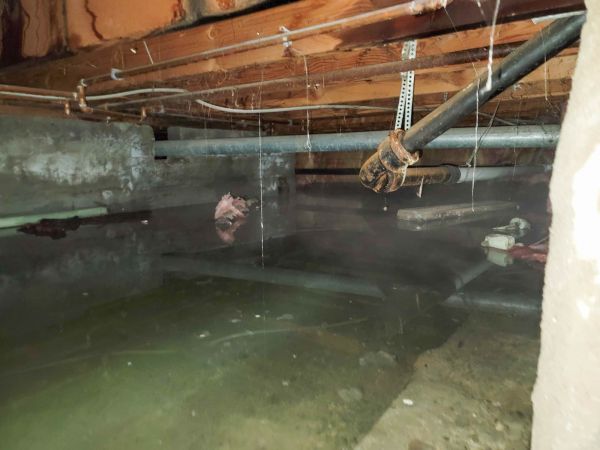 Water Mitigation Service in Valrico