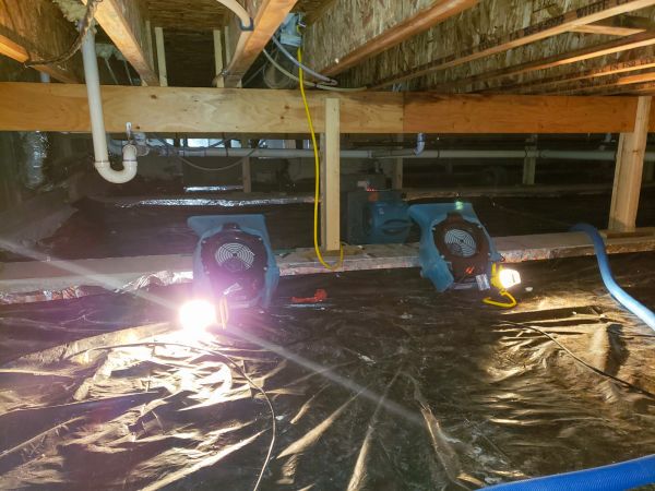 Crawlspace Water Removal in Valrico