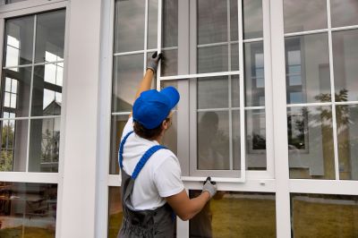 Window Restoration
